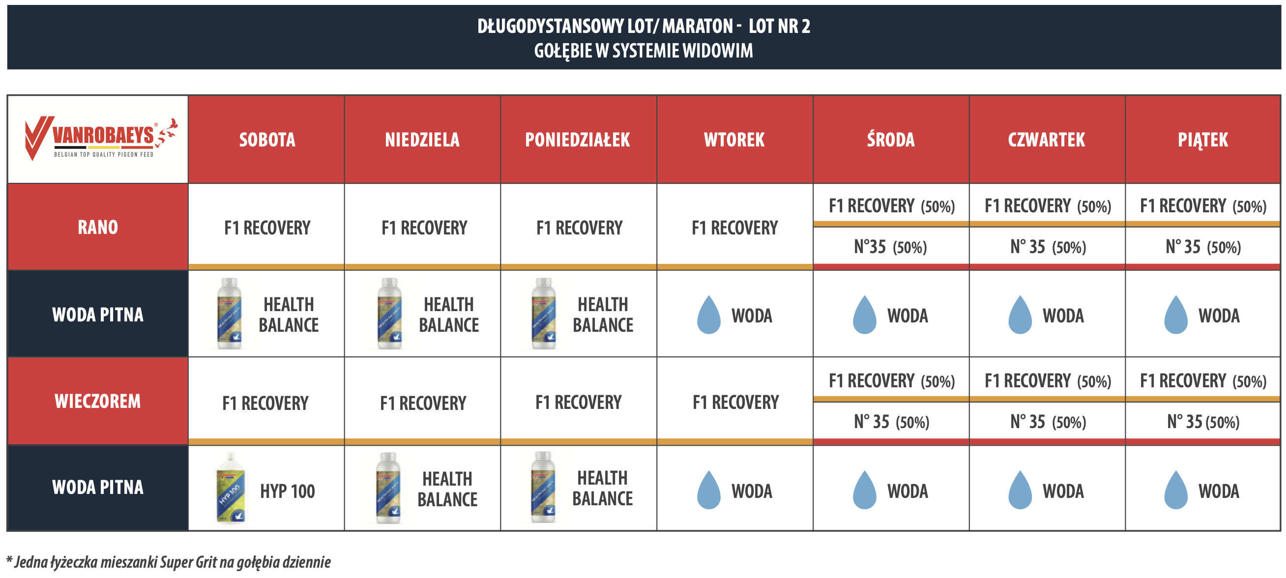 DŁUGODYSTANSOWY LOT/ MARATON - LOT NR 2 GOŁĘBIE W SYSTEMIE WIDOWIM