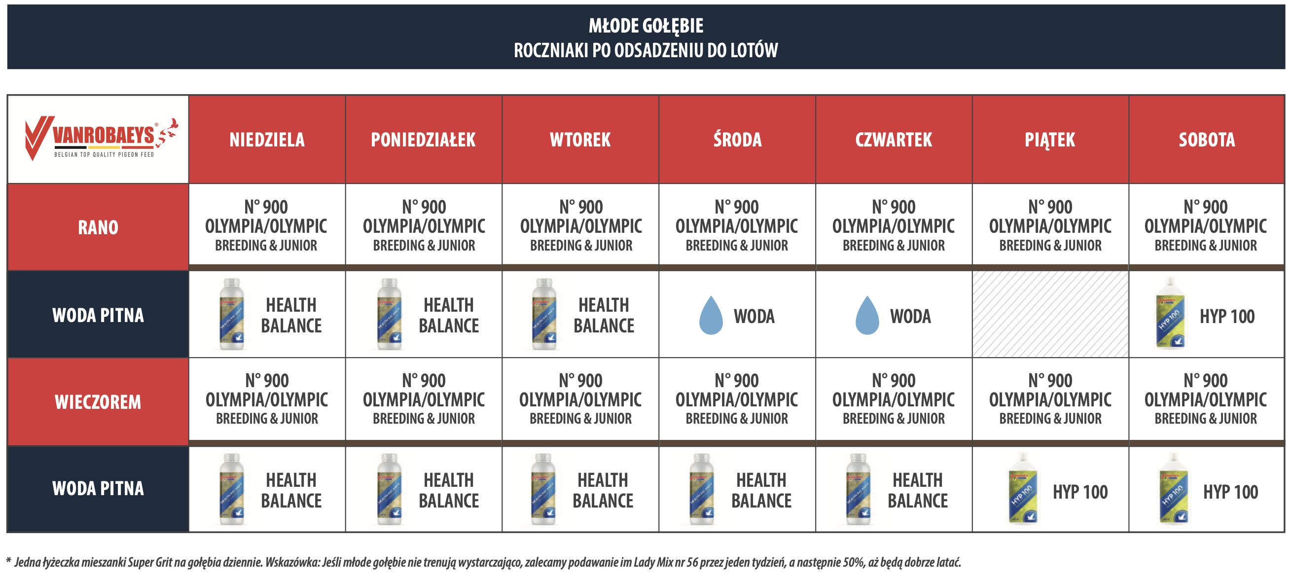 MŁODE GOŁĘBIE ROCZNIAKI PO ODSADZENIU DO LOTÓW