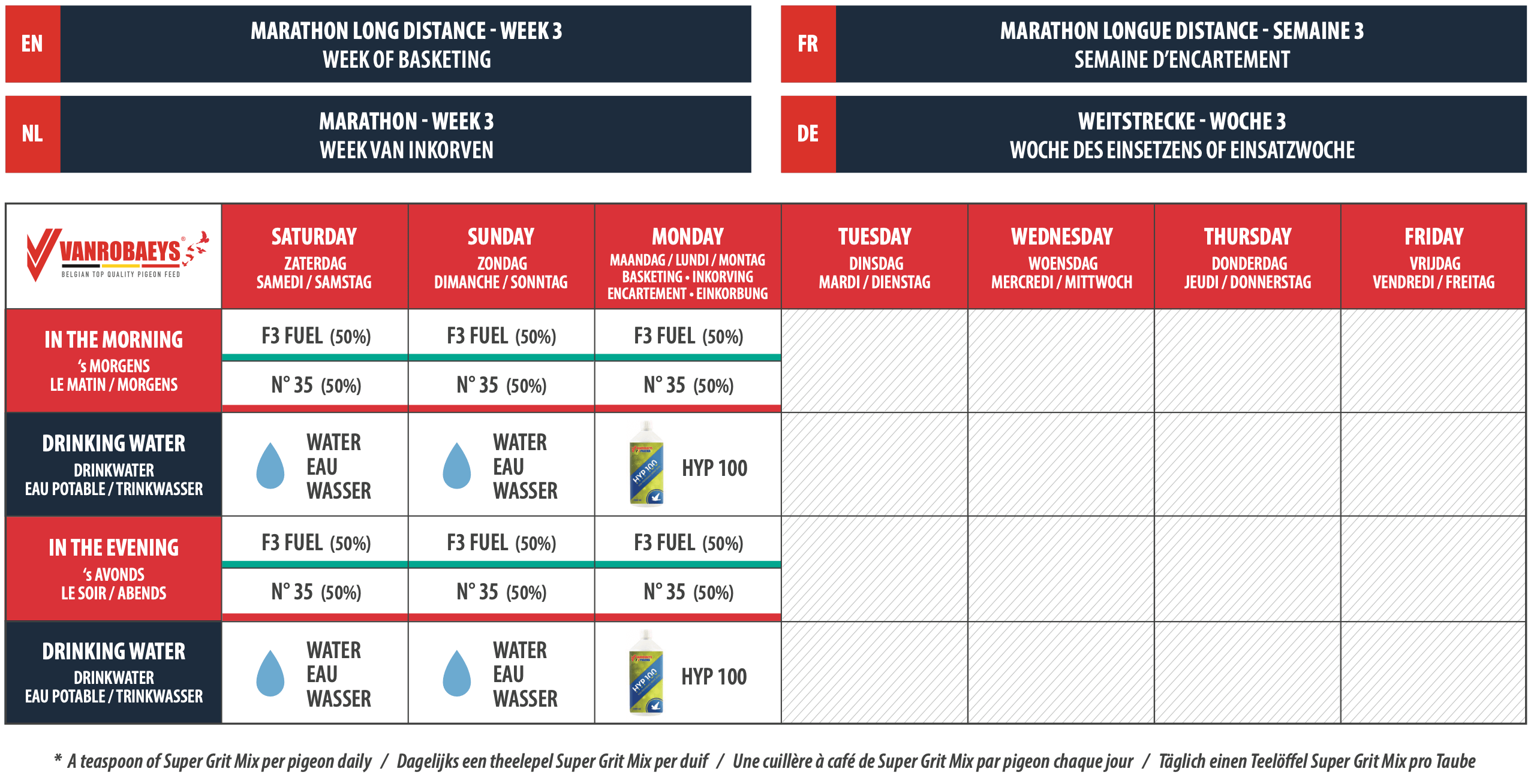 MARATHON LONG DISTANCE - WEEK 3 - WEEK OF BASKETING